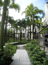 Dunearn Road (D11), Condominium #631465531